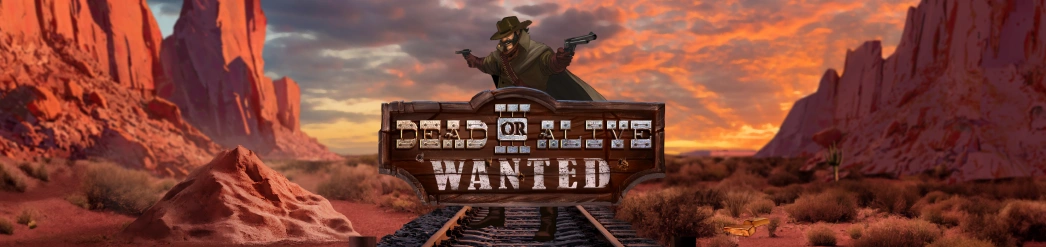 Dead or Alive 3 Wide Banner Slot.