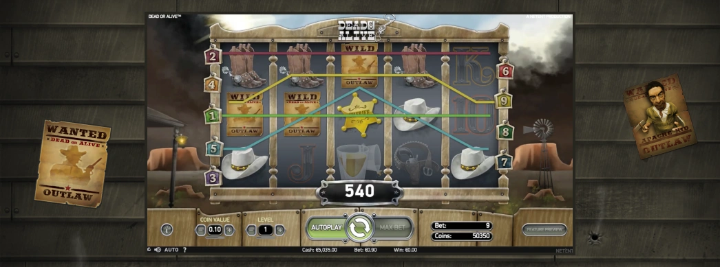 Dead or Alive slot design.